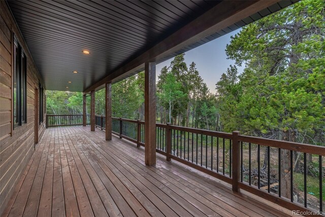 211 Foxtail Ct, Fairplay, CO 80440 - photo 45