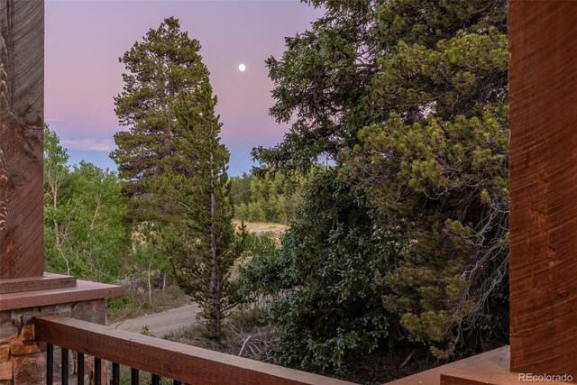 211 Foxtail Ct, Fairplay, CO 80440 - photo 46
