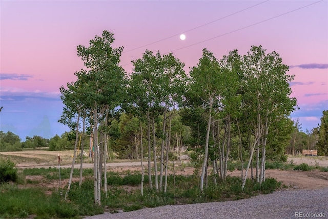211 Foxtail Ct, Fairplay, CO 80440 - photo 47