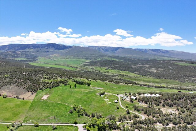57191 Me Rd, Collbran, CO 81624 - view of mountain backdrop