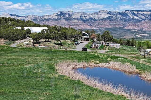 57191 Me Rd, Collbran, CO 81624 - view of mountain background