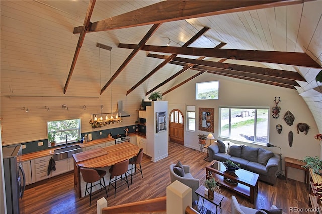 57191 Me Rd, Collbran, CO 81624 - living room featuring a chandelier, wood ceiling, and dark wood-style flooring