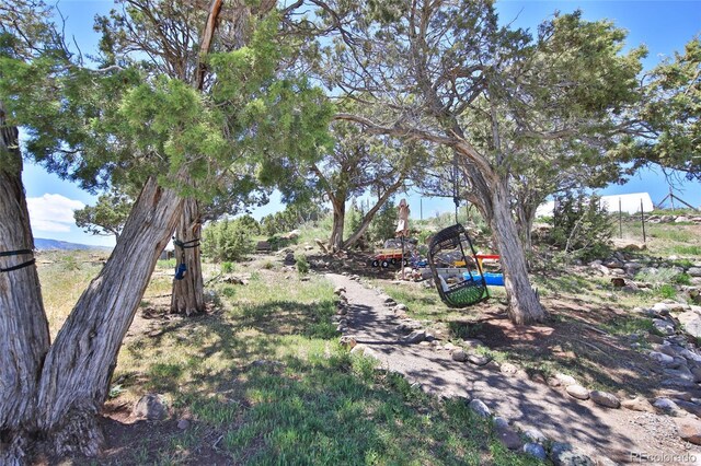 57191 Me Rd, Collbran, CO 81624 - view of yard