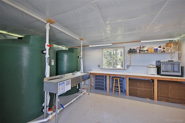 57191 Me Rd, Collbran, CO 81624 - basement featuring a workshop area