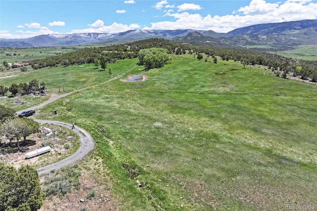 57191 Me Rd, Collbran, CO 81624 - view of mountain background with rural landscape
