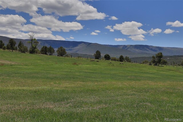 57191 Me Rd, Collbran, CO 81624 - mountain view with rural landscape and agricultural land