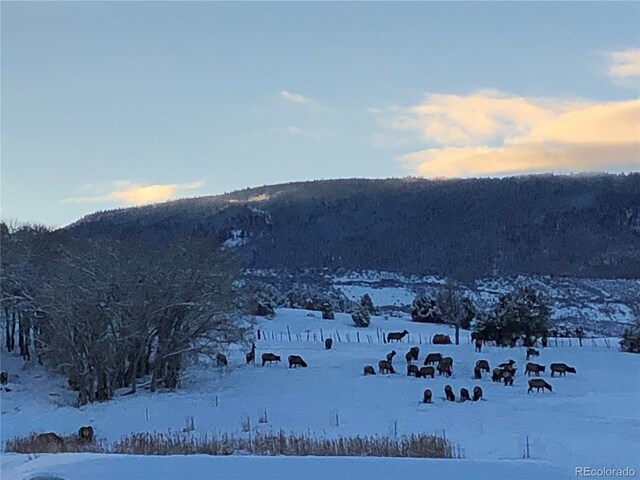 57191 Me Rd, Collbran, CO 81624 - mountain view