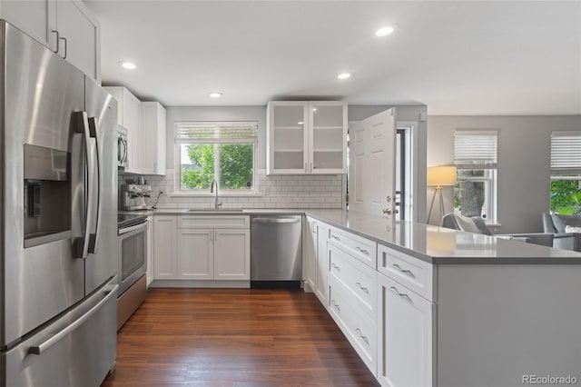 5170 Deephaven Ct, Denver, CO 80239 - kitchen featuring stainless steel appliances, a peninsula, a sink, glass insert cabinets, and backsplash