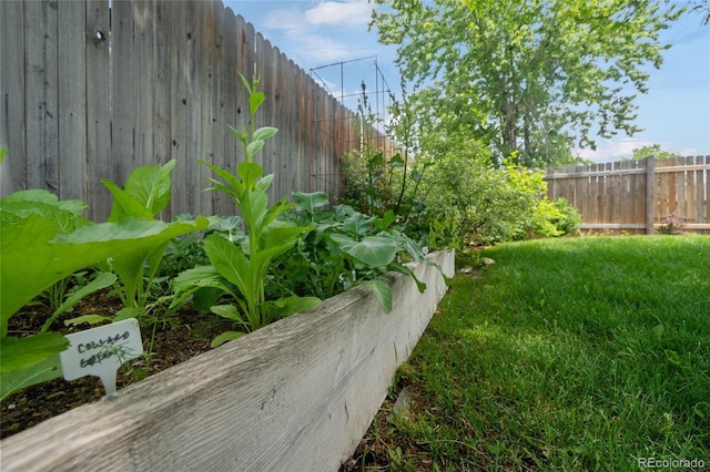 5170 Deephaven Ct, Denver, CO 80239 - view of yard