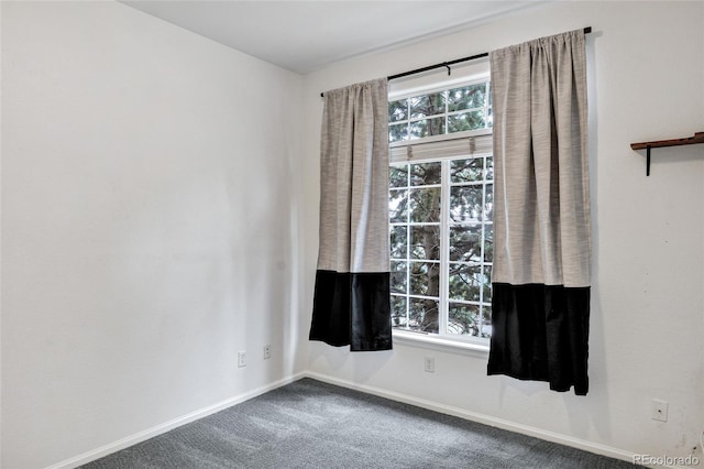 457 Black Feather Loop Unit 704, Castle Rock, CO 80104 - photo 6