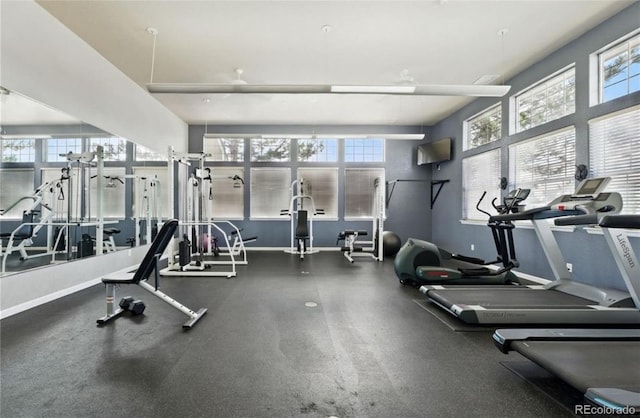 457 Black Feather Loop Unit 704, Castle Rock, CO 80104 - photo 25