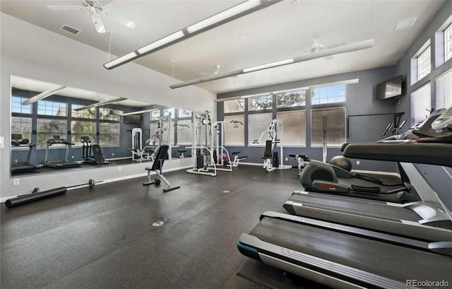 457 Black Feather Loop Unit 704, Castle Rock, CO 80104 - photo 26