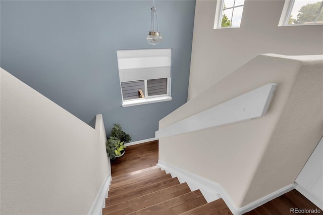 10540 Tracewood Cir, Highlands Ranch, CO 80130 - stairway featuring wood finished floors and plenty of natural light