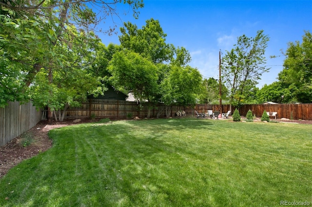 6283 S Prescott St, Littleton, CO 80120 - view of yard