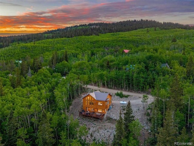 857 Quartzville Rd, Alma, CO 80440 - photo 1