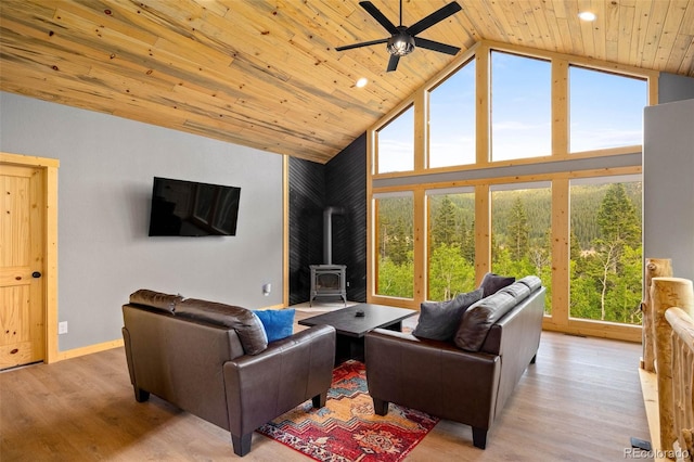 857 Quartzville Rd, Alma, CO 80440 - photo 5