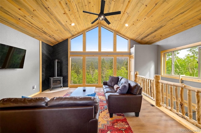 857 Quartzville Rd, Alma, CO 80440 - photo 6