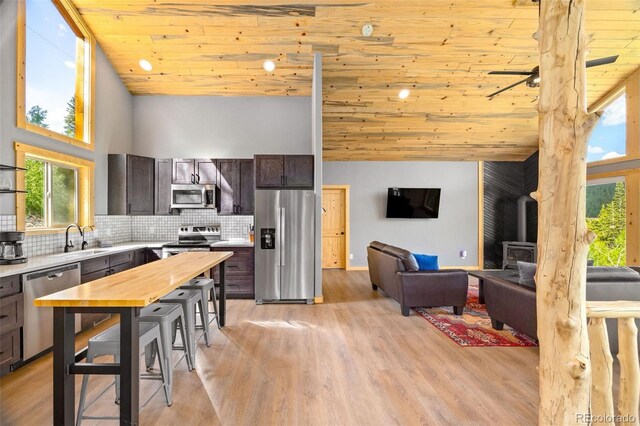 857 Quartzville Rd, Alma, CO 80440 - photo 9
