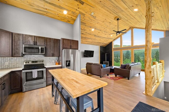 857 Quartzville Rd, Alma, CO 80440 - photo 15