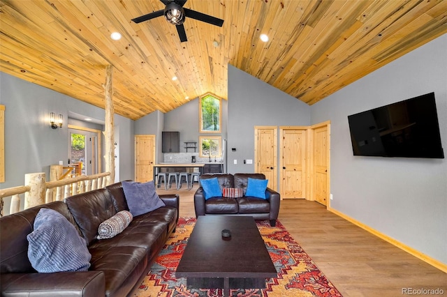 857 Quartzville Rd, Alma, CO 80440 - photo 16