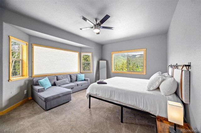 857 Quartzville Rd, Alma, CO 80440 - photo 20