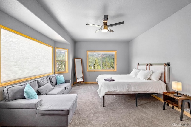857 Quartzville Rd, Alma, CO 80440 - photo 21
