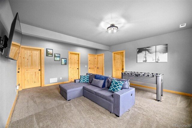 857 Quartzville Rd, Alma, CO 80440 - photo 27