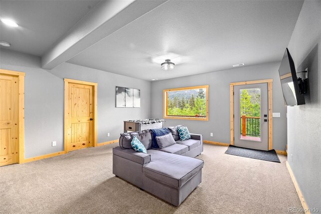 857 Quartzville Rd, Alma, CO 80440 - photo 28