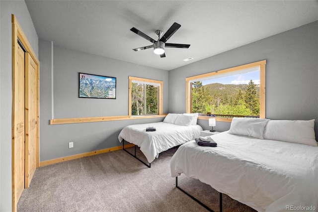 857 Quartzville Rd, Alma, CO 80440 - photo 31