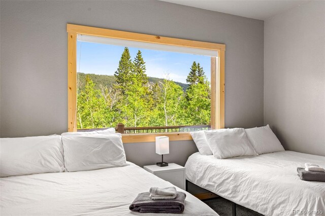 857 Quartzville Rd, Alma, CO 80440 - photo 32
