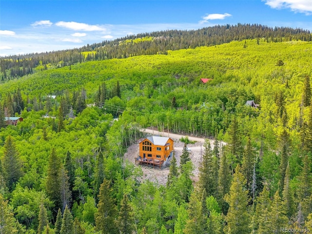857 Quartzville Rd, Alma, CO 80440 - photo 42