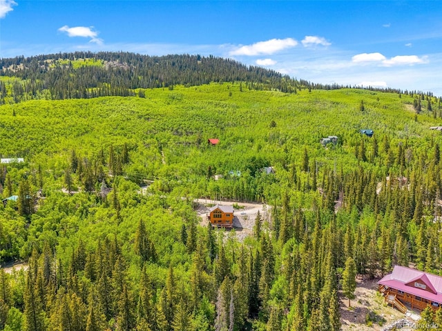857 Quartzville Rd, Alma, CO 80440 - photo 43