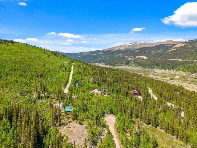 857 Quartzville Rd, Alma, CO 80440 - photo 44