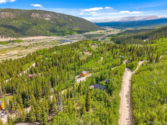 857 Quartzville Rd, Alma, CO 80440 - photo 46