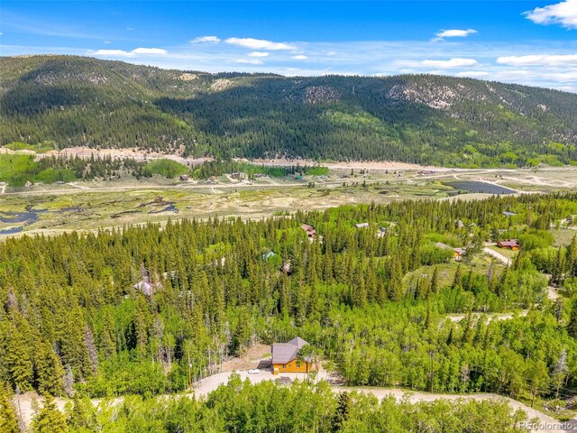 857 Quartzville Rd, Alma, CO 80440 - photo 47