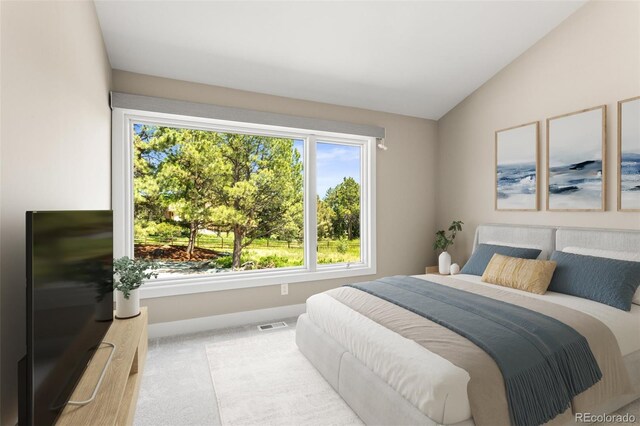 4 Greenridge Rd, Greenwood Village, CO 80111 - photo 41