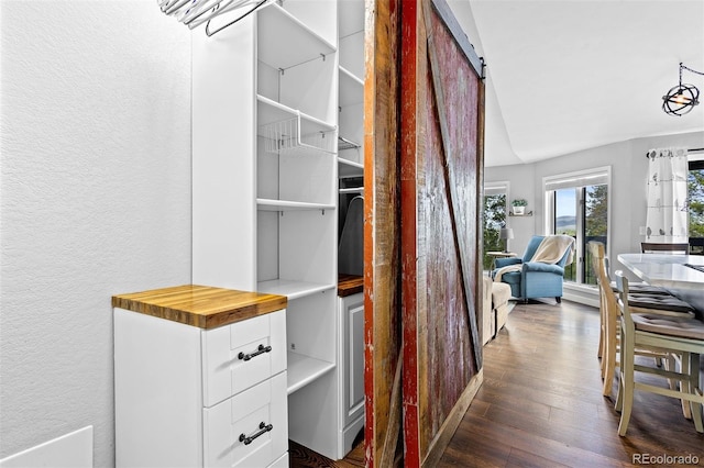 100 County Road 8344 Unit 3, Fraser, CO 80442 - spacious closet featuring dark wood-style floors