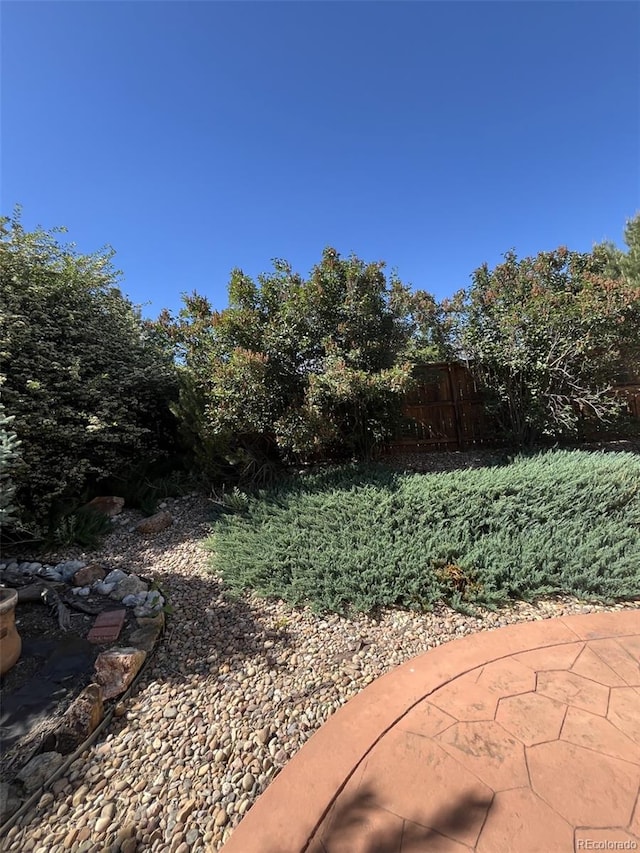 view of yard featuring a patio area