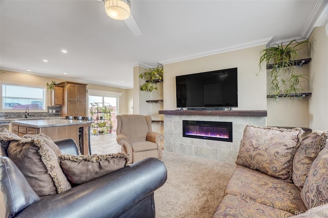 7443 Little Chief Ct, Fountain, CO 80817 - photo 5