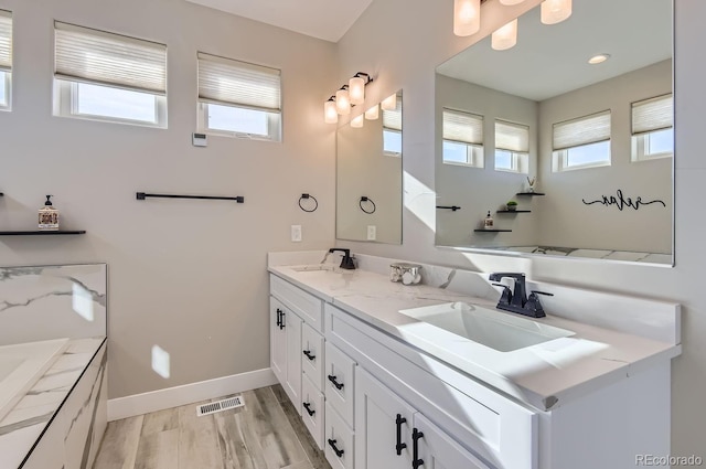 bathroom featuring wood-type flooring, a wealth of natural light, and vanity