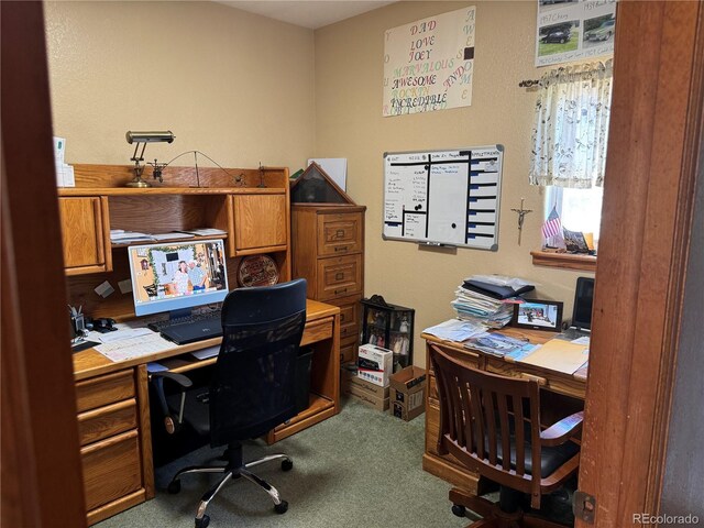 1970 County Road 241, Westcliffe, CO 81252 - view of carpeted home office