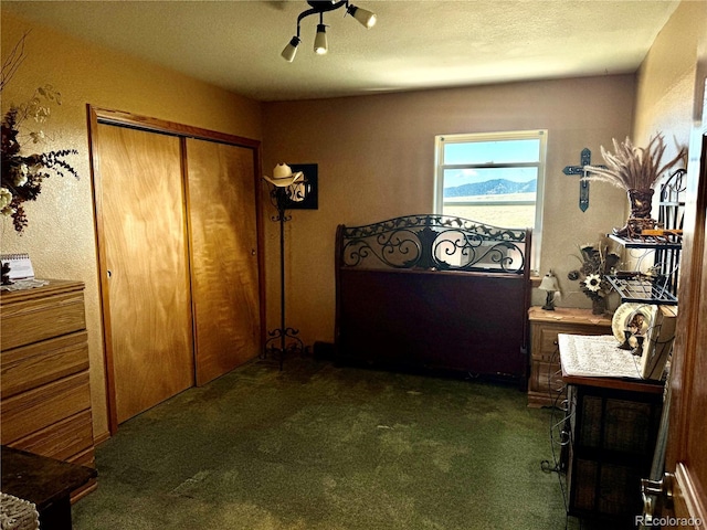 1970 County Road 241, Westcliffe, CO 81252 - bedroom with carpet flooring, a closet, and a ceiling fan