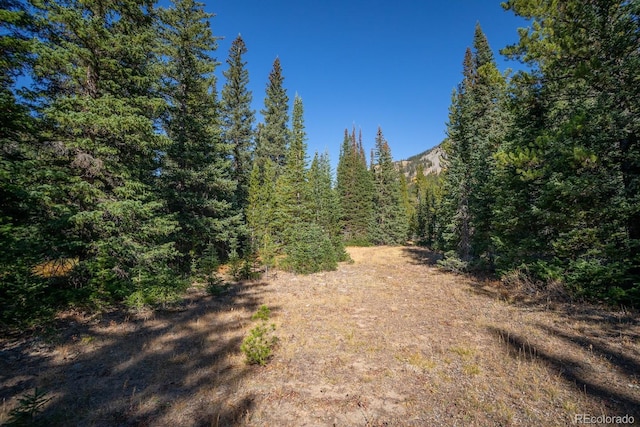 0 Fourth Of July Rd, Nederland, CO 80466