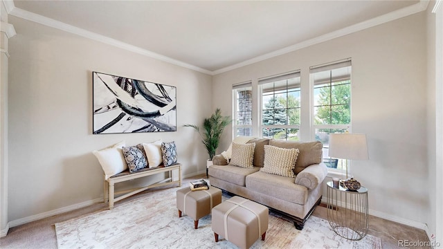 2521 Otter Ct, Lafayette, CO 80026 - living area with crown molding and carpet floors
