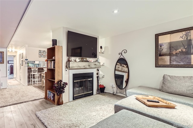 living area with a glass covered fireplace and wood finished floors