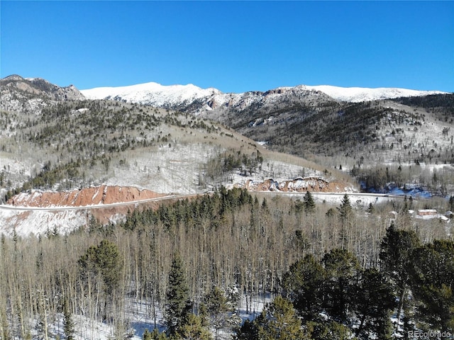 Castle Ridge View, Divide, CO 80813 - photo 40