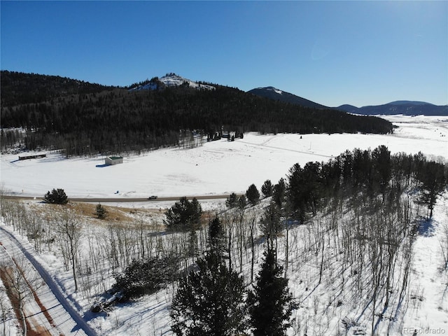 Castle Ridge View, Divide, CO 80813 - photo 41