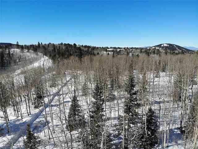 Castle Ridge View, Divide, CO 80813 - photo 42