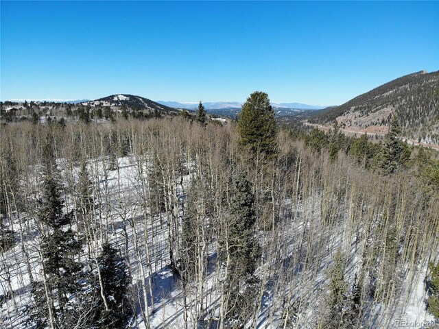 Castle Ridge View, Divide, CO 80813 - photo 43