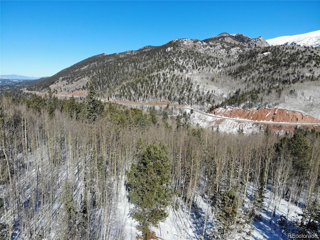 Castle Ridge View, Divide, CO 80813 - photo 44